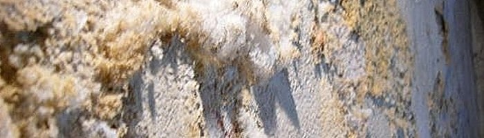 Removing Efflorescence from Concrete