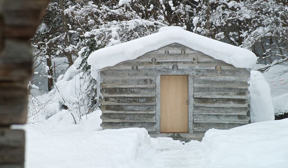 Cozy Concrete Cabin in the Alps