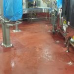 Sofina Foods plant floor work